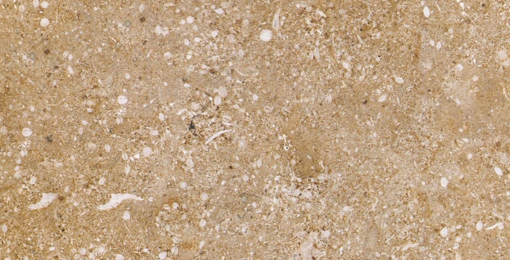 TBMarmi-Limestone-024403